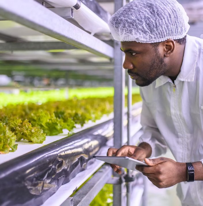 Checking indoor agricultural growth