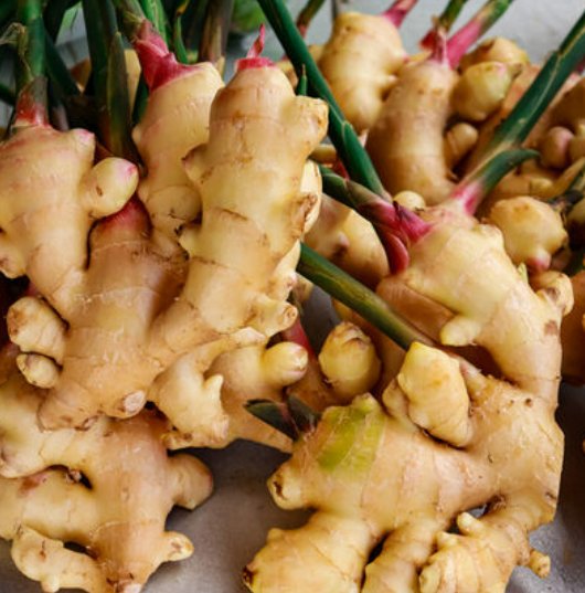 Ginger
